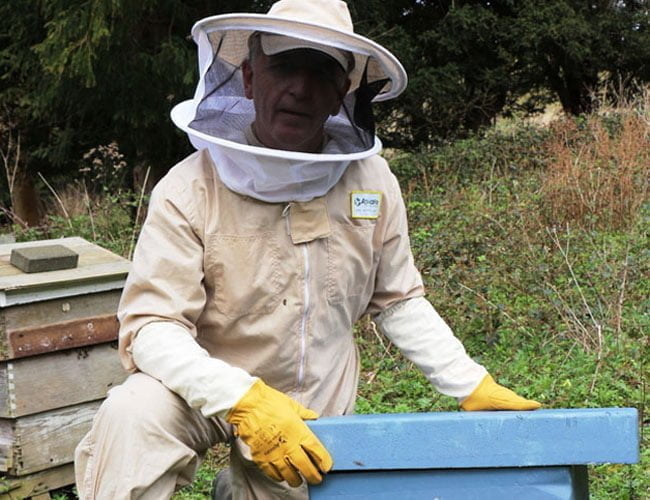 Read more about the article Beesmax