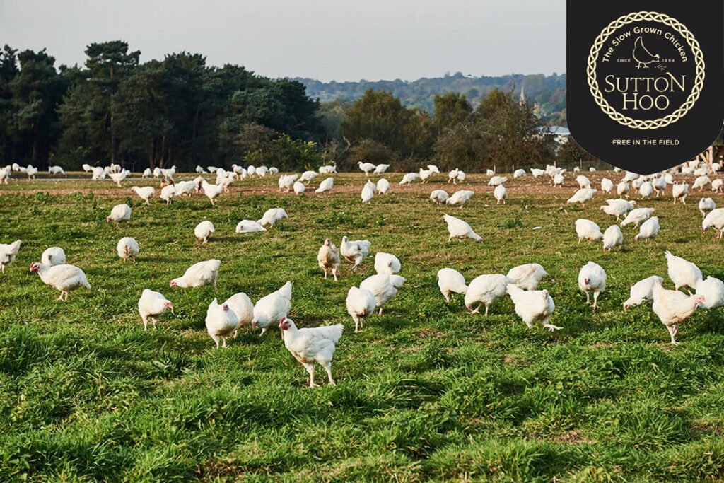 Sutton Hoo chickens.