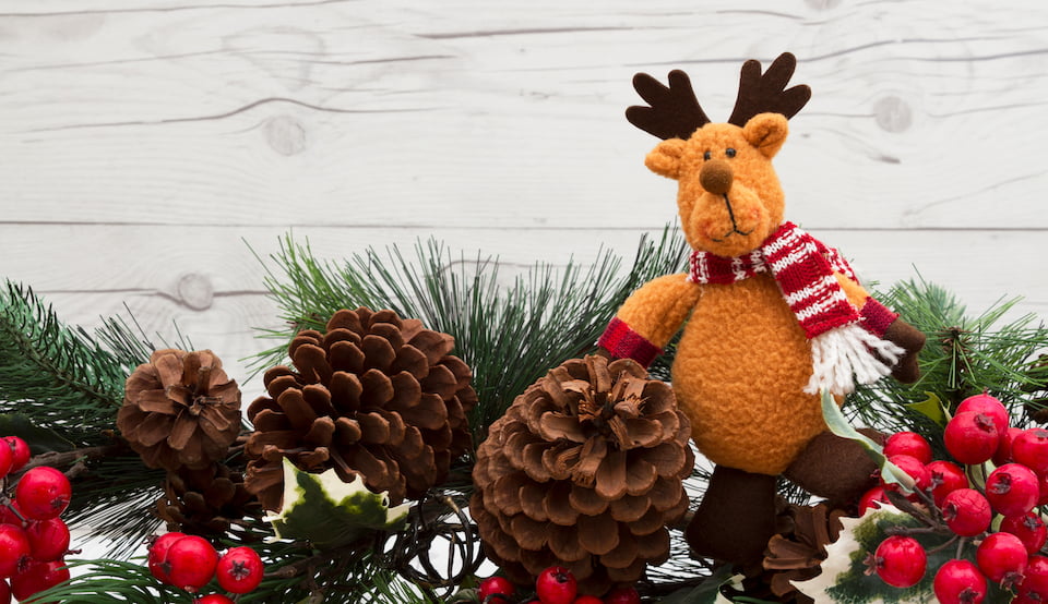 You are currently viewing Christmas Opening Hours